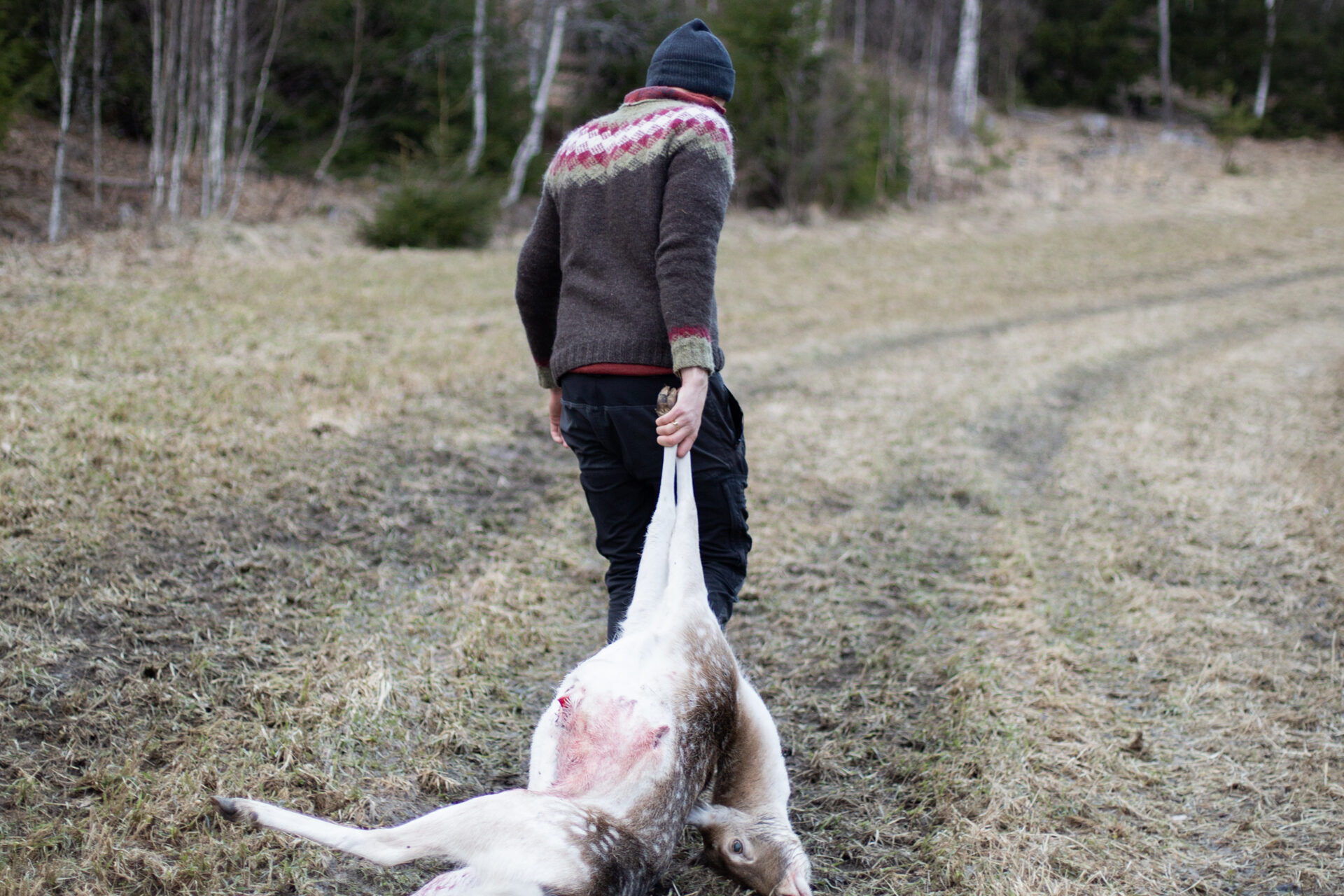 Jägare drar dov ur skogen